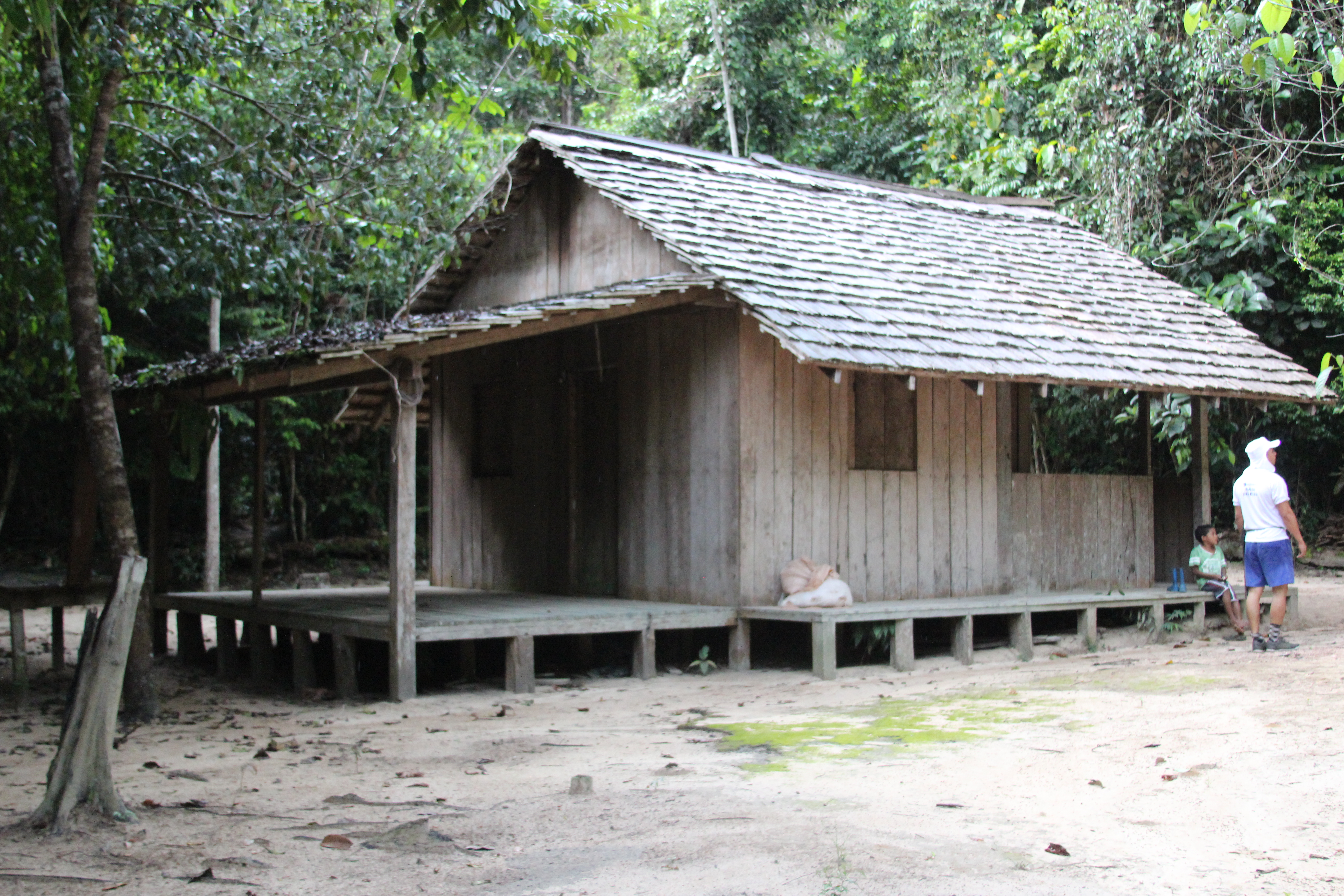 Amazon Rainforest Tiny House
