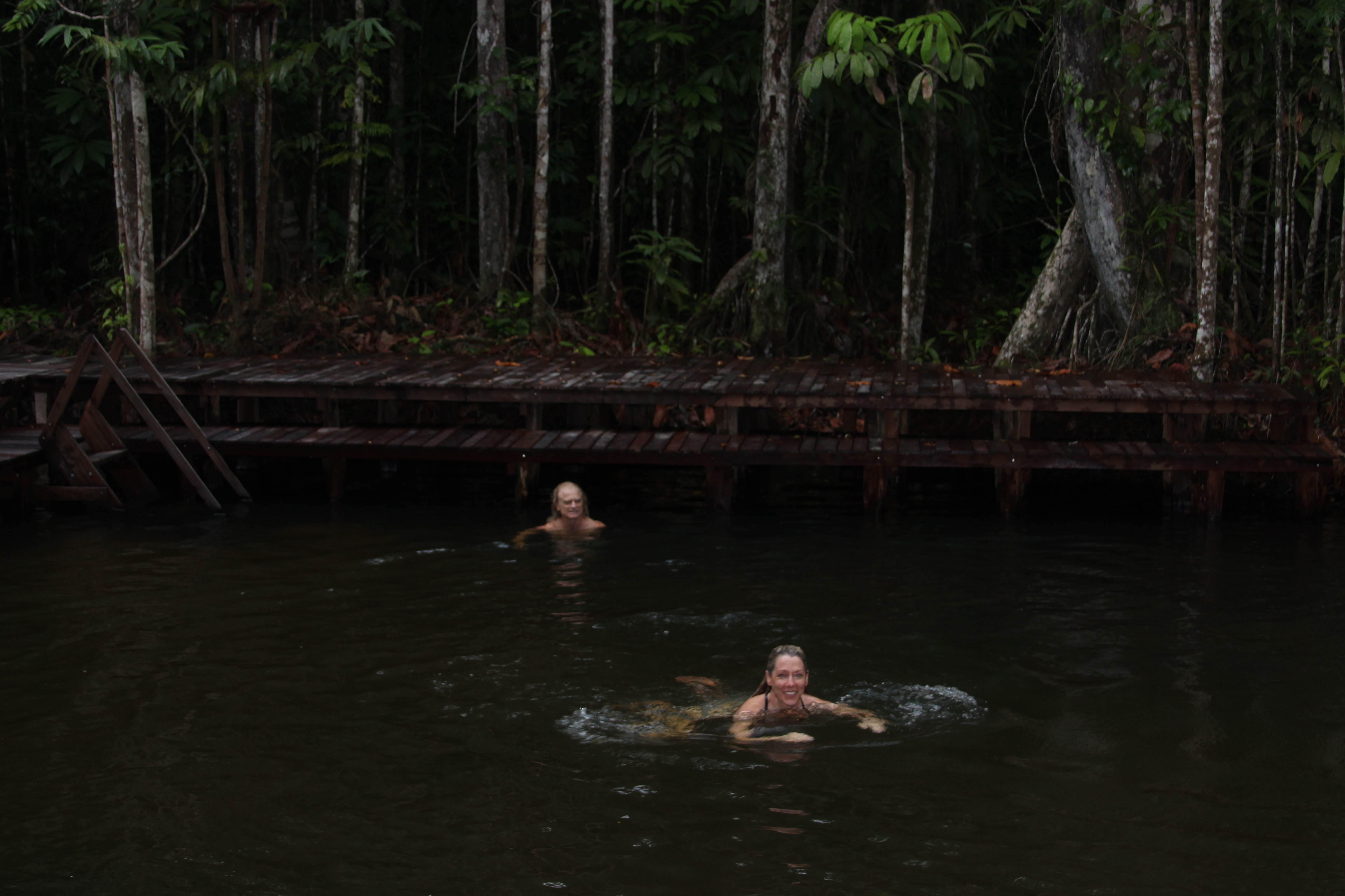 Rainforest Swimming Hole Fun